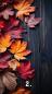 Preview: No 50 Yarn-Club gross Bestellbar bis 28.09.25
