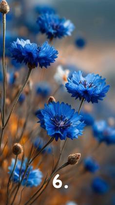 Preview: No 11 Merino 400 Yarn-Club klein Bestellbar bis 29.03.2026