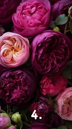 Preview: No 11 Merino 400 Yarn-Club klein Bestellbar bis 06.01.2026